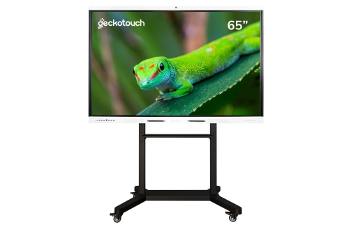 Geckotouch Interactive 65RK