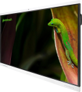 Geckotouch Interactive 75SR