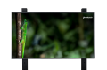 Geckotouch 65DCR