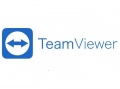 TeamViewer Business годовая лицензия