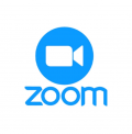 Zoom Meetings Профессиональная версия, 1 год