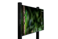 Geckotouch 55DCR