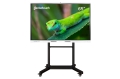 Geckotouch Interactive 65RK