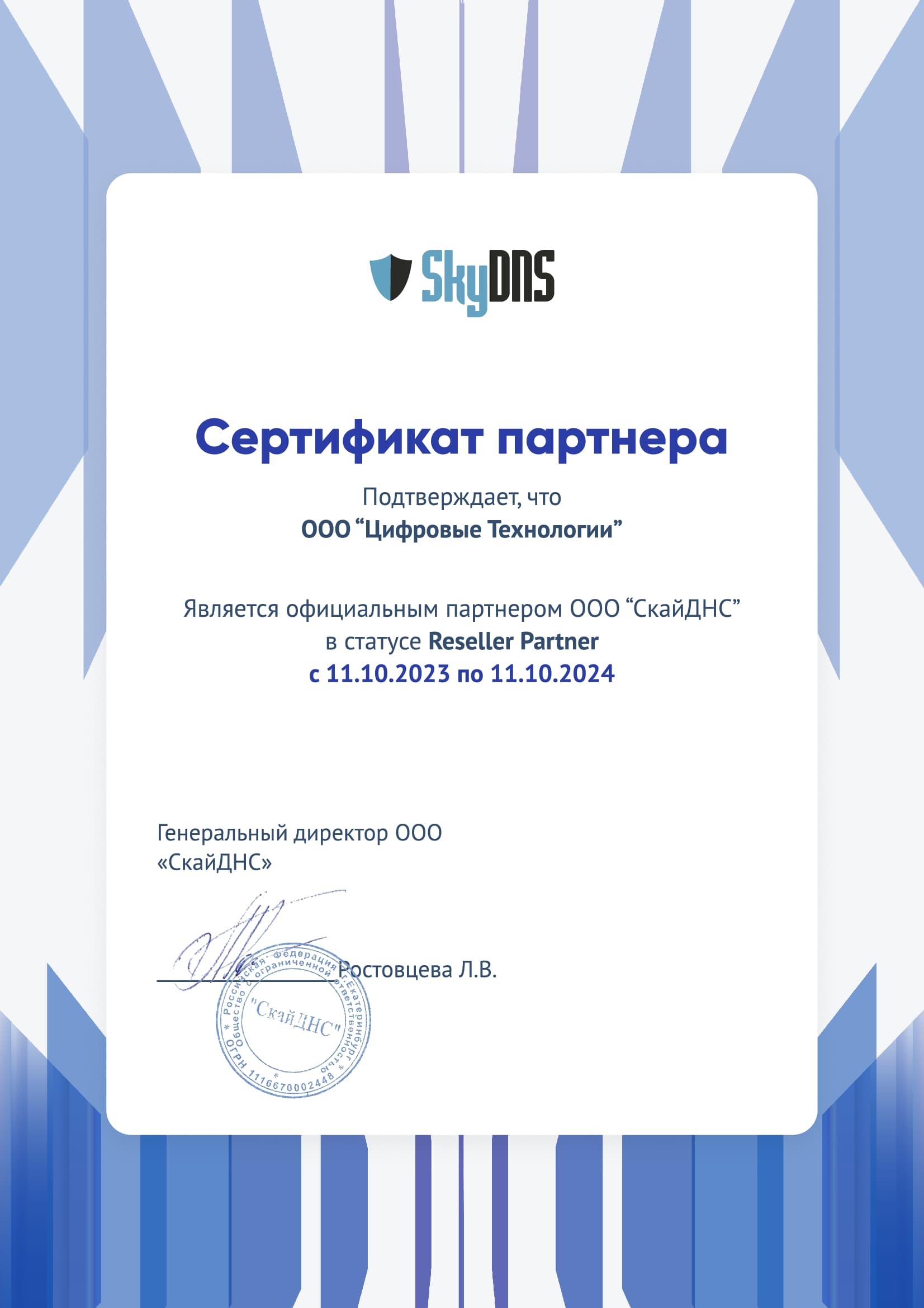 Сертификат Sky DNS
