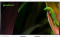 Geckotouch Interactive 65SR