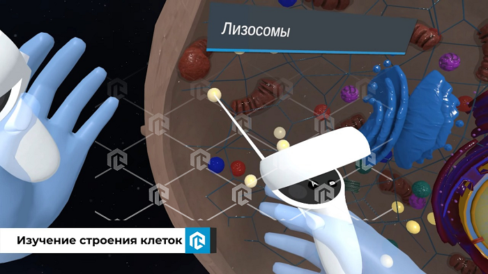 Оборудование для кабинета биологии: микроскопы, таблицы и модели